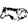 R E Farm Ltd