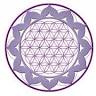 Reiki Barcelona, AMTH Barcelona