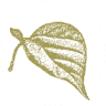 Rejuvenation Spa