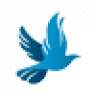 shalom aquarium & pets and travels
