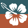 Pura Vida Rentals