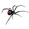 Rentons Pest Control Services Pty Ltd