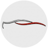 ReproMotor