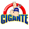 Repuestos Gigante