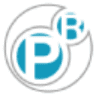 Repuestos Paniagua S.A.