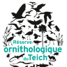 Réserve Ornithologique Du Teich