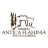 Residenza Antica Flaminia