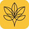 Restaurant Saffron Indian Cuisine