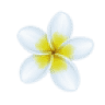 Revive Rheumatology of North Jersey