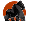 Revolution SE - Funkcionális edzőterem