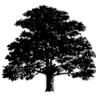 R E Woods & Son Cabinetmakers