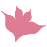 Rezidence Magnolia