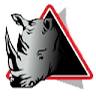 Rhino Removals