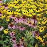 Richards Landscaping Inc
