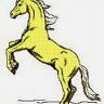 Adult Horse Riding in NYS