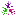 Cooperative Nursery School of Ridgewood