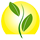 Right Start International Montessori School