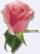 Rina Florist