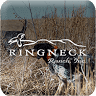 Ringneck Ranch Inc