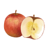 Ringonoki