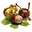 Ristorante Pizzeria l’Ippocastano