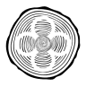 Rivanova