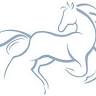 Rivendell Veterinary Care, PC