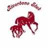 Riverdene Stud