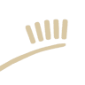 Page Family Dentistry