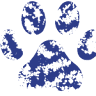 RIVERINA BOARDING KENNELS & CATTERY