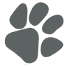 River Road Veterinary Hospital