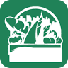Riverview Farmers Market