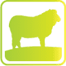 rma network