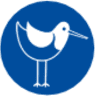 Rock & Bird