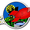 Charters Towers Rocket Run