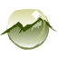 Rocky Mountain Retina Consultants