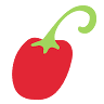 Rocoto Santiago