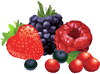 Rodela Produce and Flowers