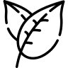 Roeds Planteskole