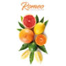 Romeo S.r.l.