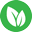 Romex Pest & Termite Control