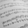 Ronald IJmker Musicus