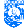 DESOPEM