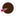 RooArt