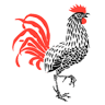 Rooster's Barn & Grill