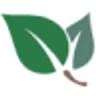Root & Restore Therapy