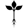 Roots Natural Kitchen