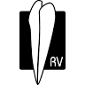 RootVision Endo