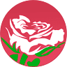 Floricultura rosa branca