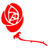 Rosa Mistica Auriflama